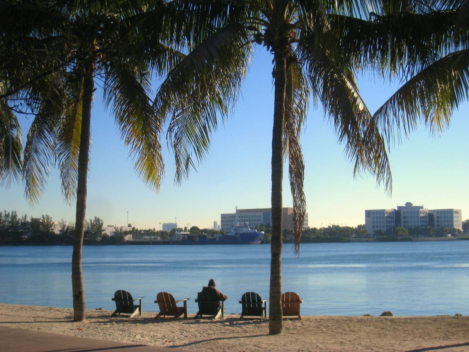 Bayfront Park Miami waterfront promenade with palm trees and bay view, FIFA Fan Festival host site World Cup 2026